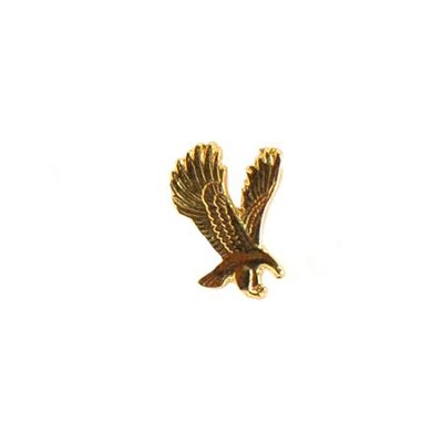 Eagle Lapel Pin  - 