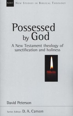Possessed by God: A New Testament Doctrine of Sanctification and Holiness (New Studies in biblical Theology)  -     By: David Peterson
