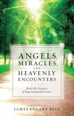 Angels, Miracles, and Heavenly Encounters: Real-Life Stories of Supernatural Events - eBook  -     By: James Stuart Bell
