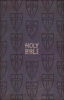 ICB Gift & Award Bible, Boys' Edition   - 