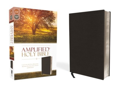 Amplified Thinline Holy Bible--bonded leather, black  - 