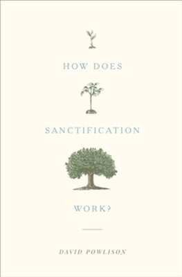 How Does Sanctification Work?  -     By: David Powlison
