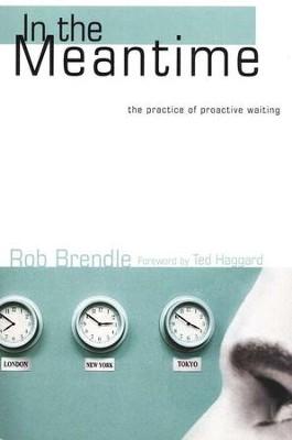 In the Meantime: The Practice of Proactive Waiting  -     By: Rob Brendle
