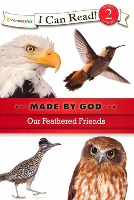 Our Feathered Friends  - 