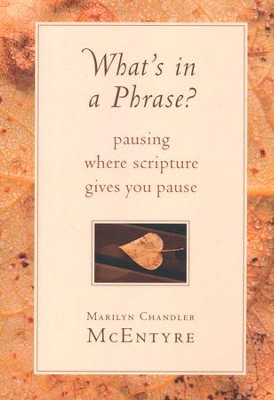 What's in a Phrase? Pausing Where Scripture Gives You   Pause ?  -     By: Marilyn Chandler McEntyre
