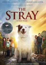 The Stray, DVD