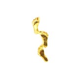 Footprints Lapel Pin