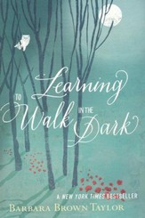 Learning to Walk in the Dark - Slightly Imperfect