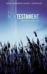 NIV Large-Print Outreach New Testament--softcover, blue wheat