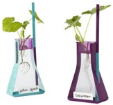 Nancy B's Science Club, Hydroponics Kit & Gardening Diary