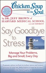 Chicken Soup for the Soul: Say Goodbye to Stress: Manage Your Problems, Big and Small, Every Day