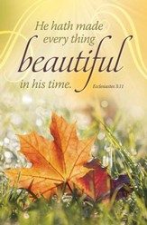 In His Time (Ecclesiastes 3:11) Bulletins, 100