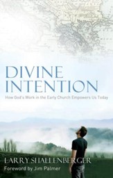 Divine Intention - eBook