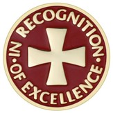 In Recognition of Excellence Pin