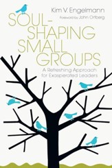 Soul-Shaping Small Groups: A Refreshing Approach for Exasperated Leaders - eBook