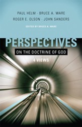 Perspectives on the Doctrine of God - eBook