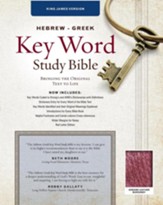 KJV Hebrew-Greek Key Word Study Bible, genuine leather, burgundy-indexed
