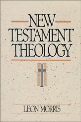 New Testament Theology - eBook