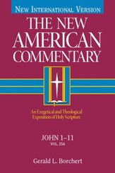 John 1-11: New American Commentary [NAC] -eBook