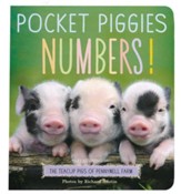 Pocket Piggies: Numbers