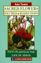 Sacred Flowers-Holy Trees & Blessed Thorns: Fifty Plants in the Life of Jesus