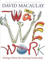 The Way We Work: Getting to Know the Amazing Human Body