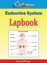 Endocrine System Lapbook - PDF Download [Download]