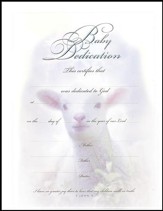 Baby Dedication Certificates, Embossed  (6)
