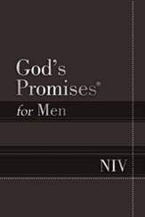 NIV God's Promises for Men