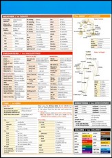 Spanish Vocabulary SparkCharts