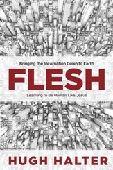 Flesh: Bringing the Incarnation Down to Earth - eBook