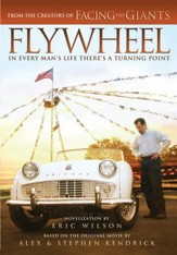 Flywheel - eBook