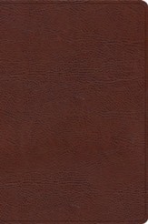 CSB Oswald Chambers Bible--bonded leather, brown