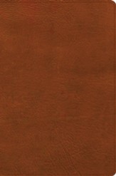 CSB Giant Print Reference Bible, Digital Study Edition--soft leather-look, burnt sienna (indexed)