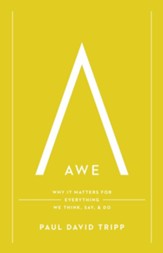 Awe: Why It Matters for Everything We Think, Say & Do