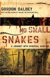 No Small Snakes: A Journey Into Spiritual Warfare - eBook