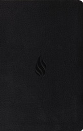 ESV Premium Gift Bible, Imitation Leather, Black w/ Flame Design