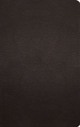 ESV Large-Print Personal-Size Bible--buffalo leather, deep brown