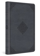 ESV Large Print Thinline Bible--imitation leather, azurite blue