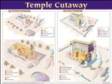 Temple Cutaway Laminated wall chart
