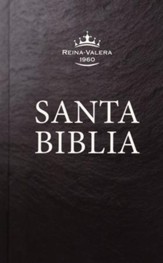 RVR 1960 Spanish Pew Bible--clothbound hardcover, black