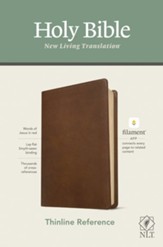 Hockey Ministiries: NLT Thinline Reference Bible, Filament  Enabled Edition-soft leather-look, rustic brown