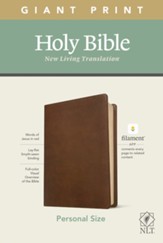 Hockey Ministries: NLT Giant-Print Personal-Size Bible,  Filament Enabled Edition--soft leather-llok, rustic brown