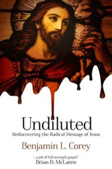 Undiluted: Rediscovering the Radical Message of Jesus - eBook
