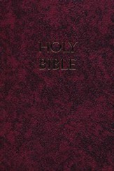 New American Revised Bible (NABRE) School and Church  Edition - Slightly Imperfect