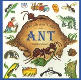 Life And Times Of The Ant