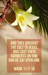 Hosanna Blessed is He (Mark 11:7, KJV) Bulletins, 100