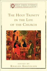 The Holy Trinity in the Life of the Church () - eBook