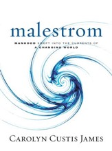 Malestrom: Manhood Swept into the Currents of a Changing World - eBook