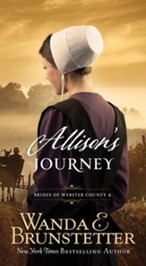 Allison's Journey - eBook